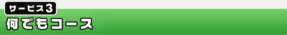 サービス3　何でもコース